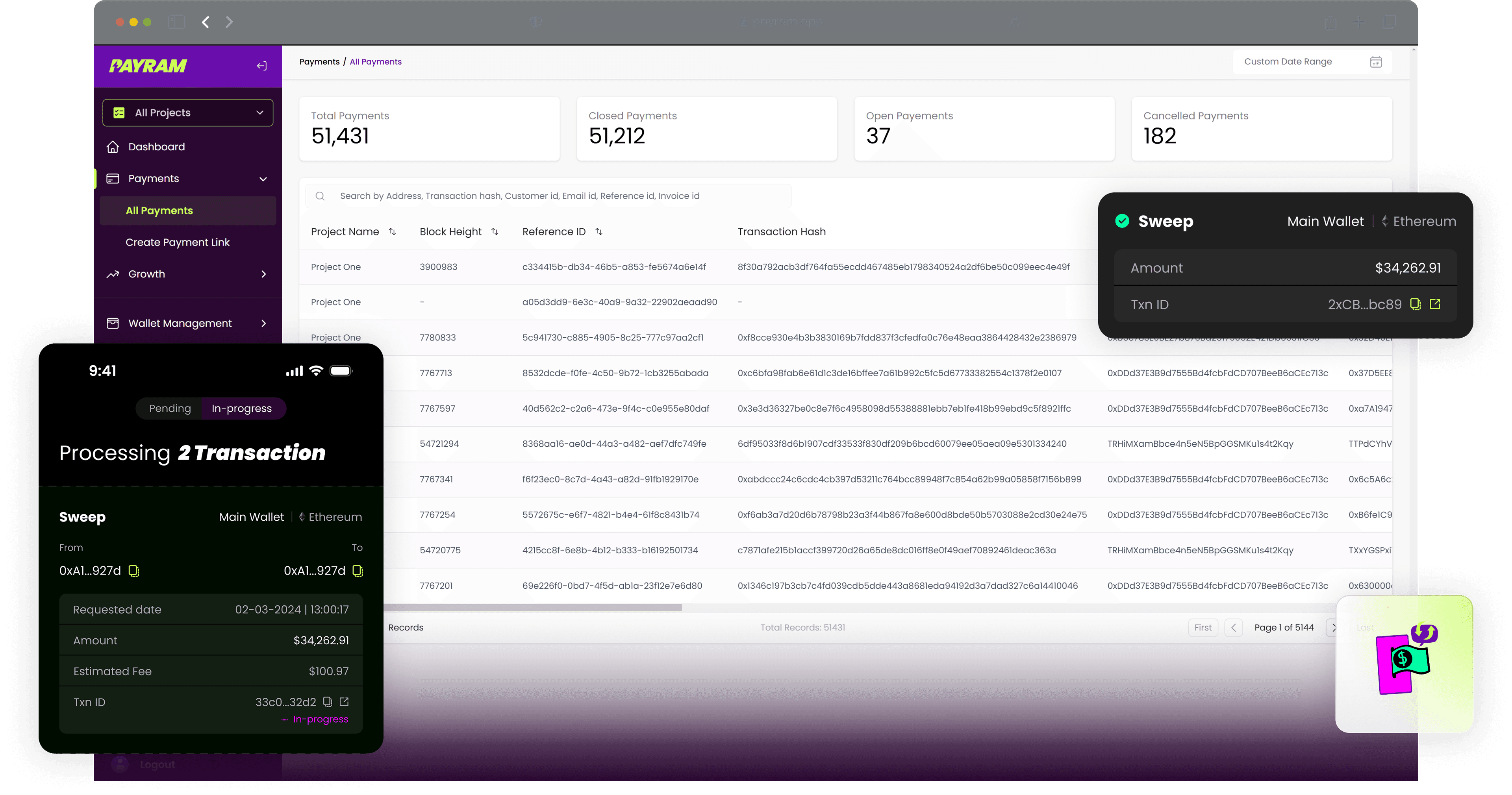PayRam automated settlement screen showing global payouts and blockchain transaction history