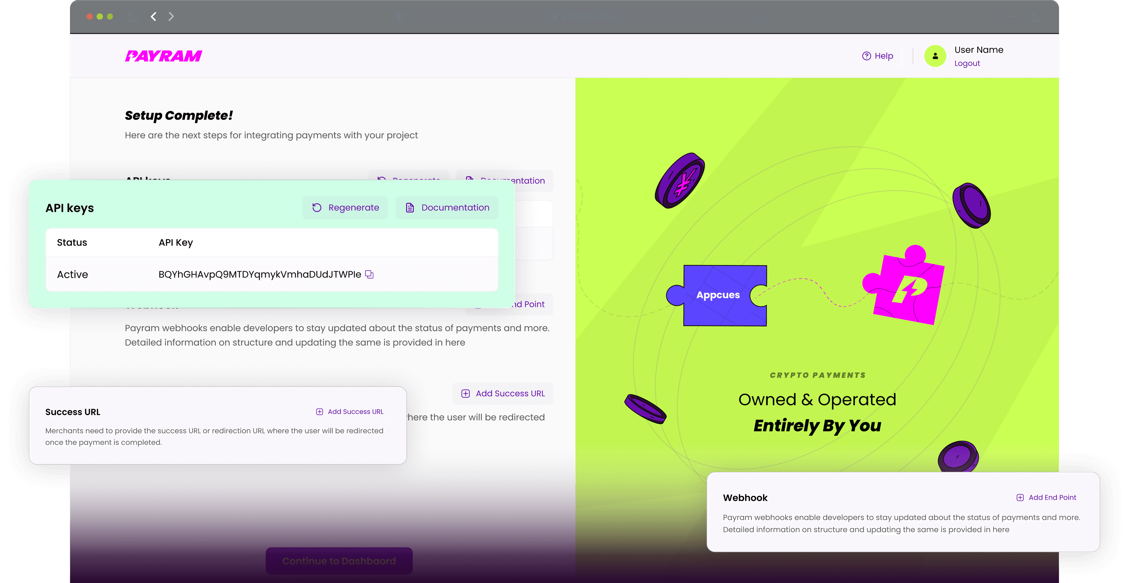 PayRam API integration view with developer-friendly SDK connectors and code snippets
